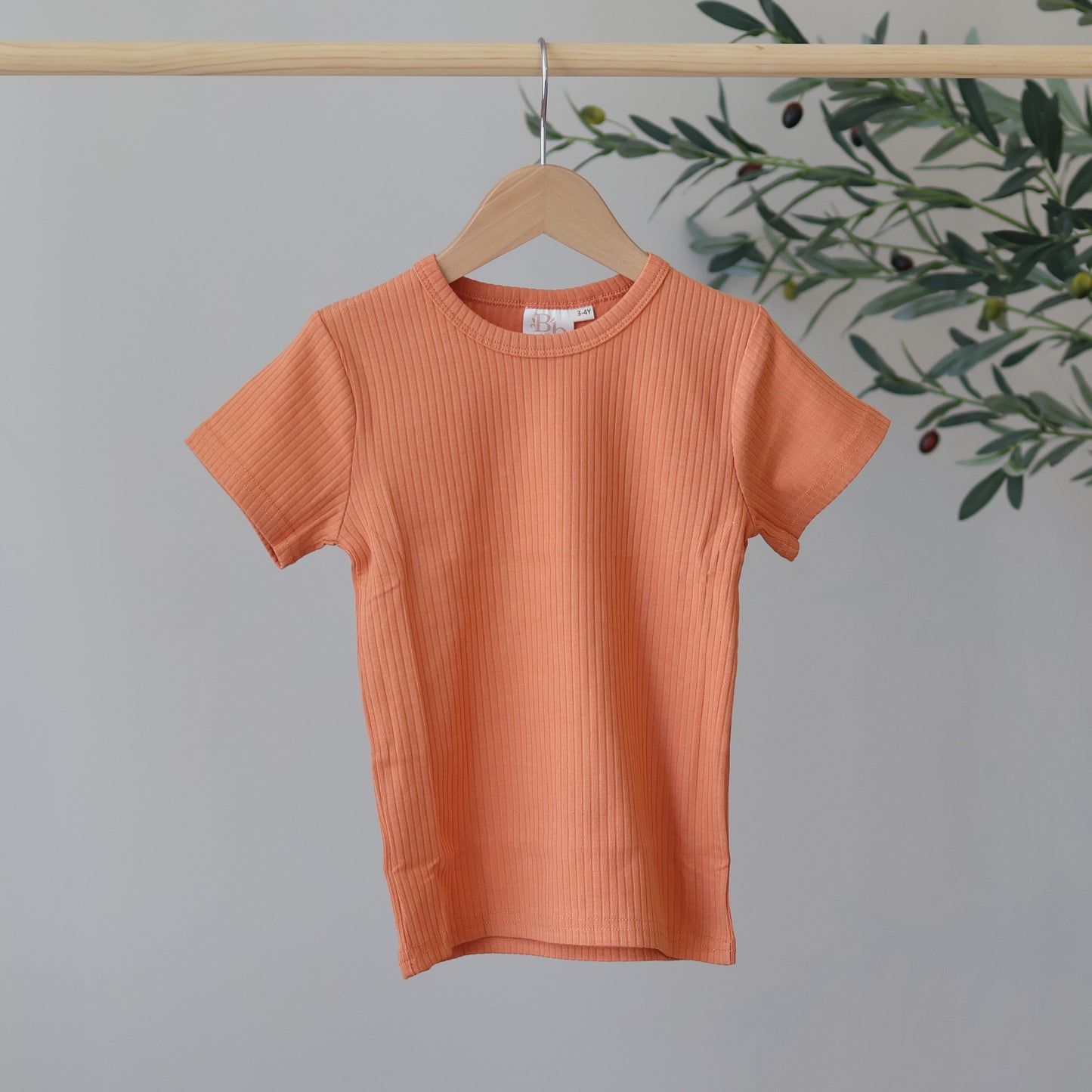 Tangerine Short Sleeve Top