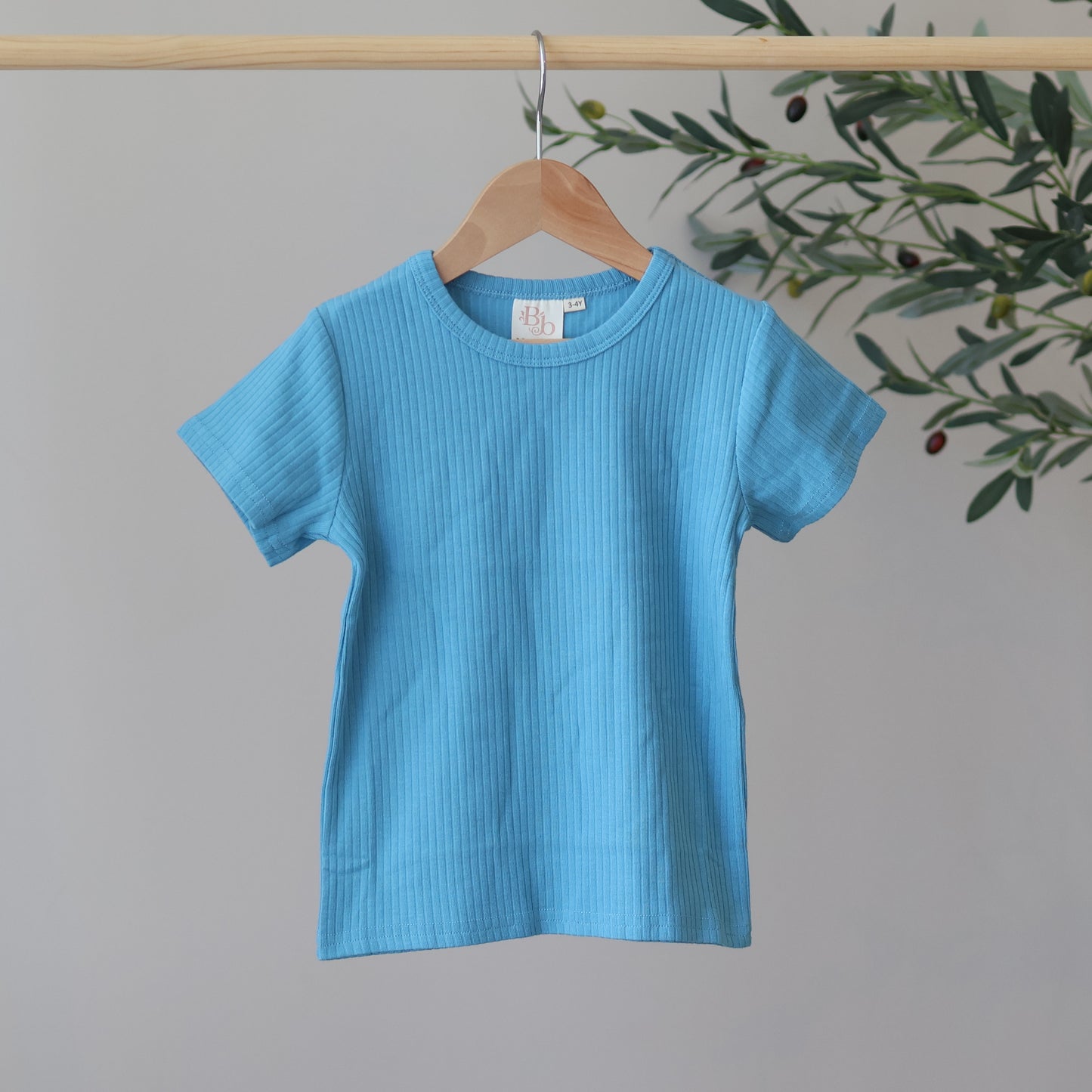 Cyan Short Sleeve Top