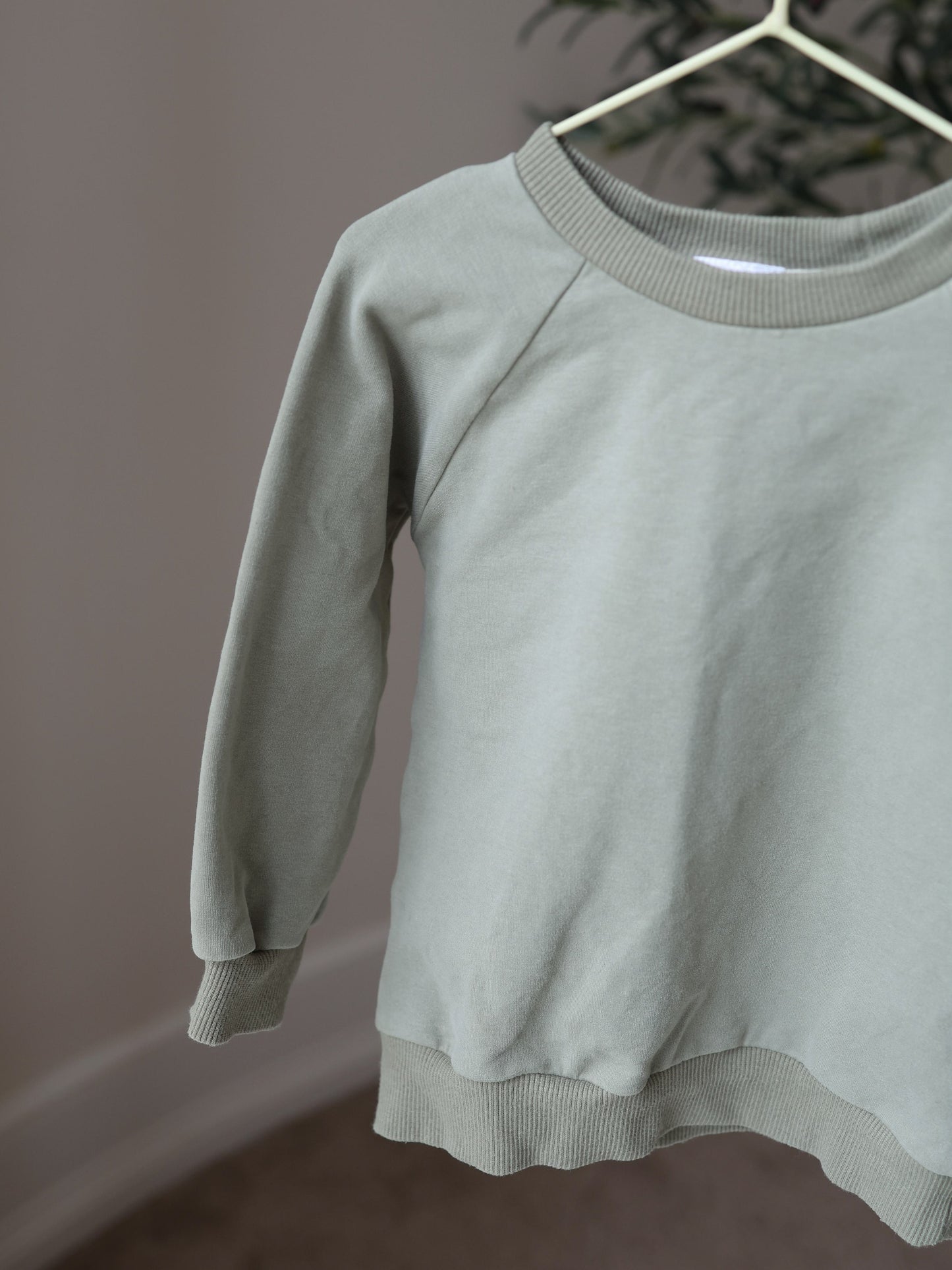 PREORDER Eucalyptus Organic Sweatshirt