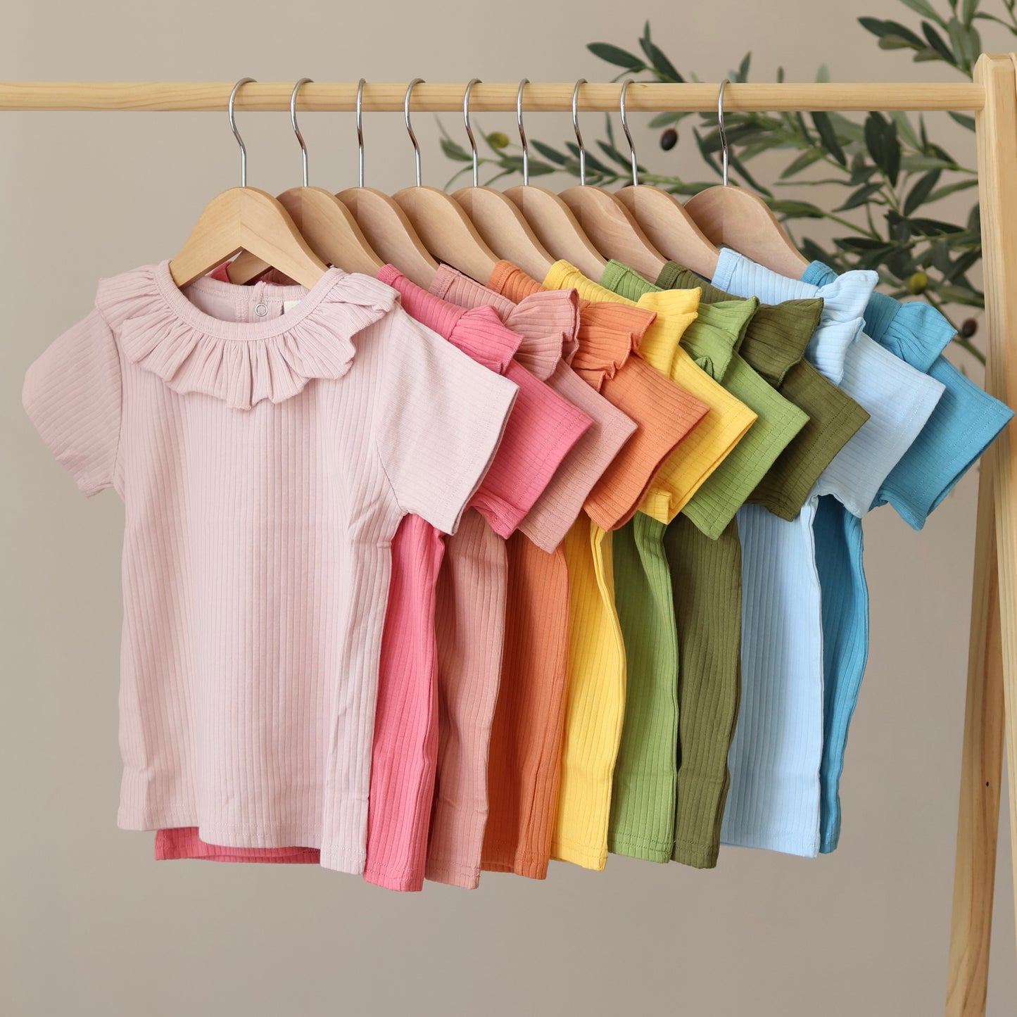 Short Sleeve Frill/Ruffle Mega Bundle