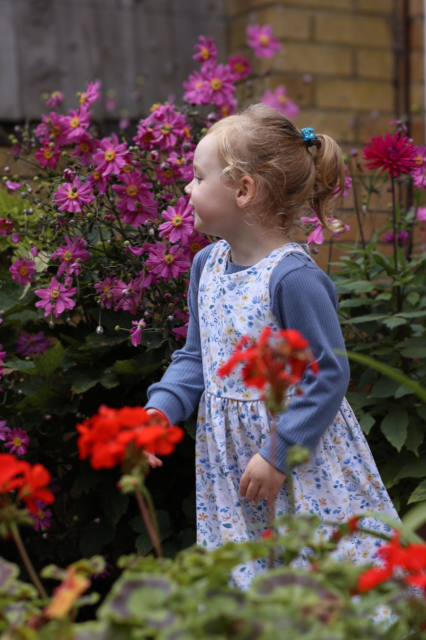 Periwinkle Frill Top