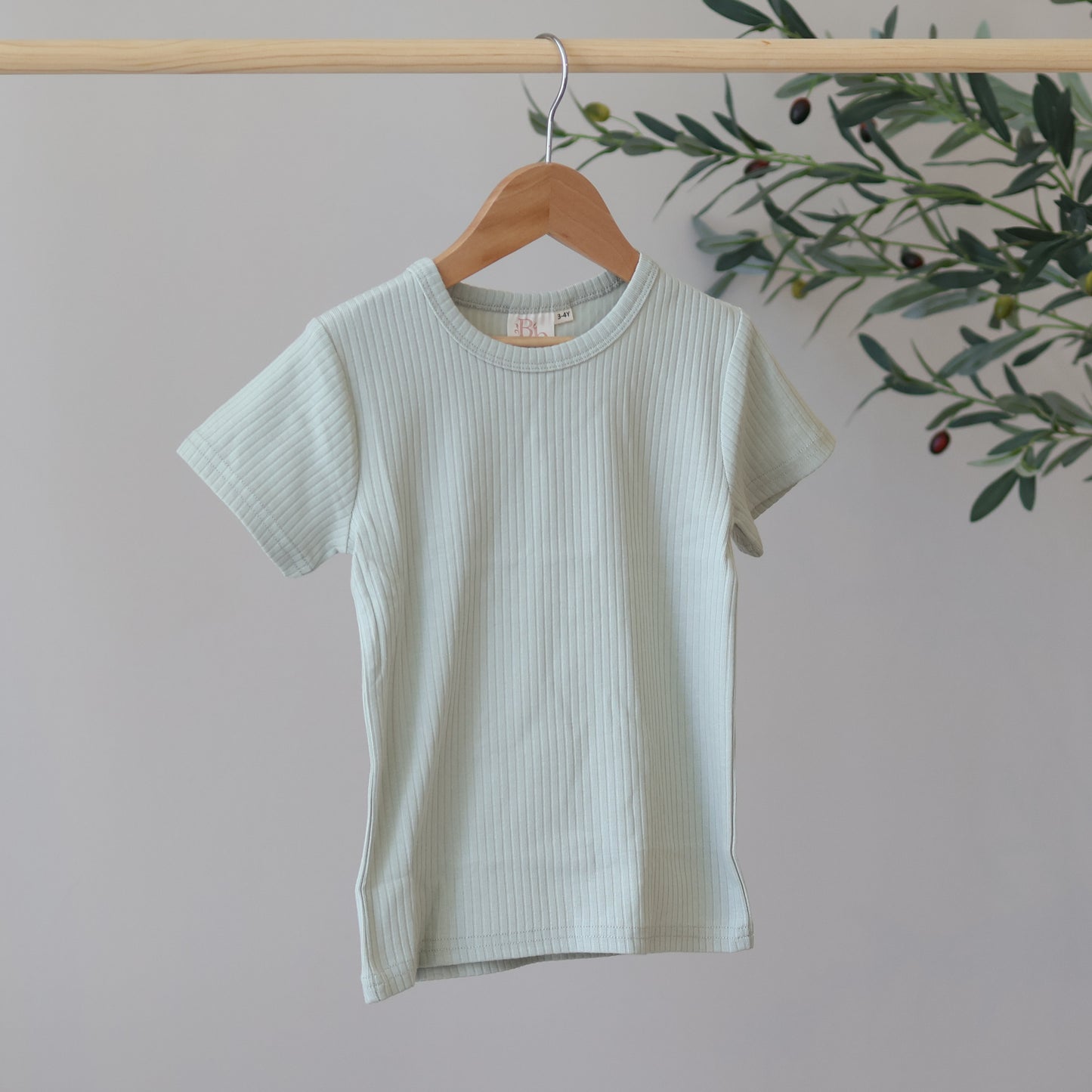 Pistachio Short Sleeve Top
